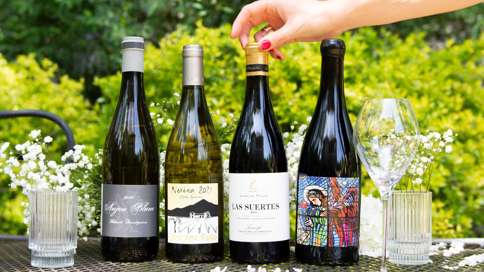 Curated Wines from Family Vineyards