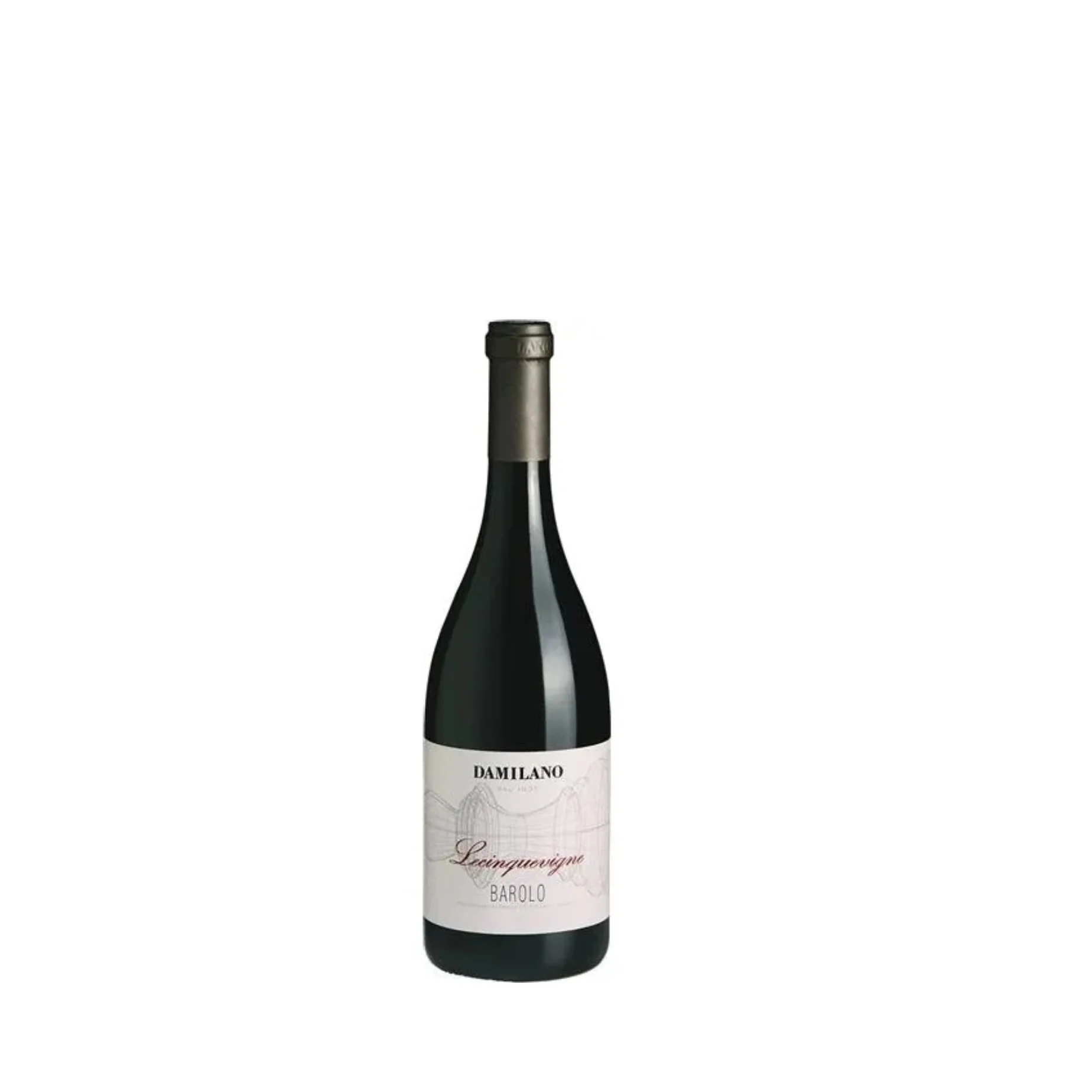 2021 Damilano Barolo "Lecinque Vigne", Piedmont, Italy - 375ml