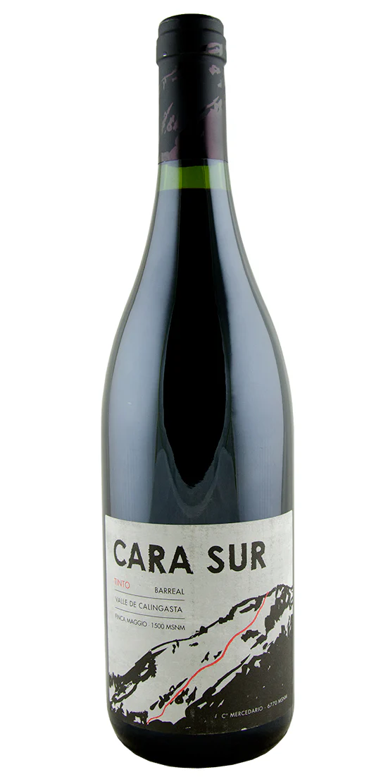 2020 Cara Sur Tinto, Valle de Calingasta, Argentina