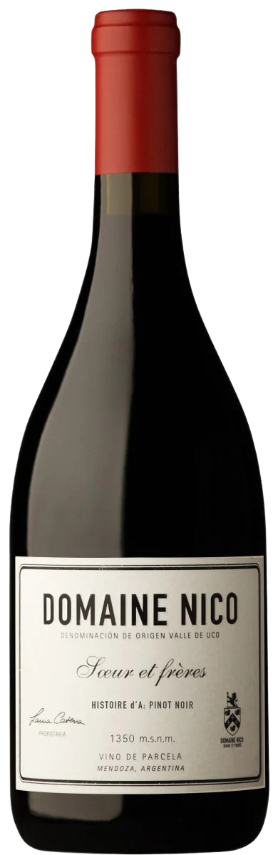 2020 Domaine Nico "Histoire d'A" Pinot Noir, Valle de Uco, Mendoza, Argentina