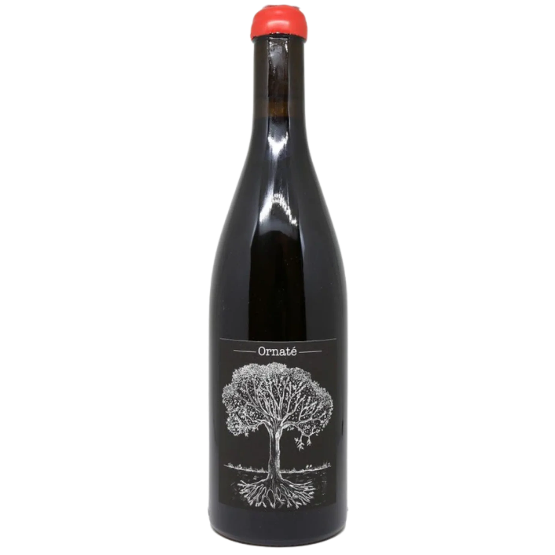 2022 Domaine Bretaudeau Merlot "Ornaté", Loire Valley, France